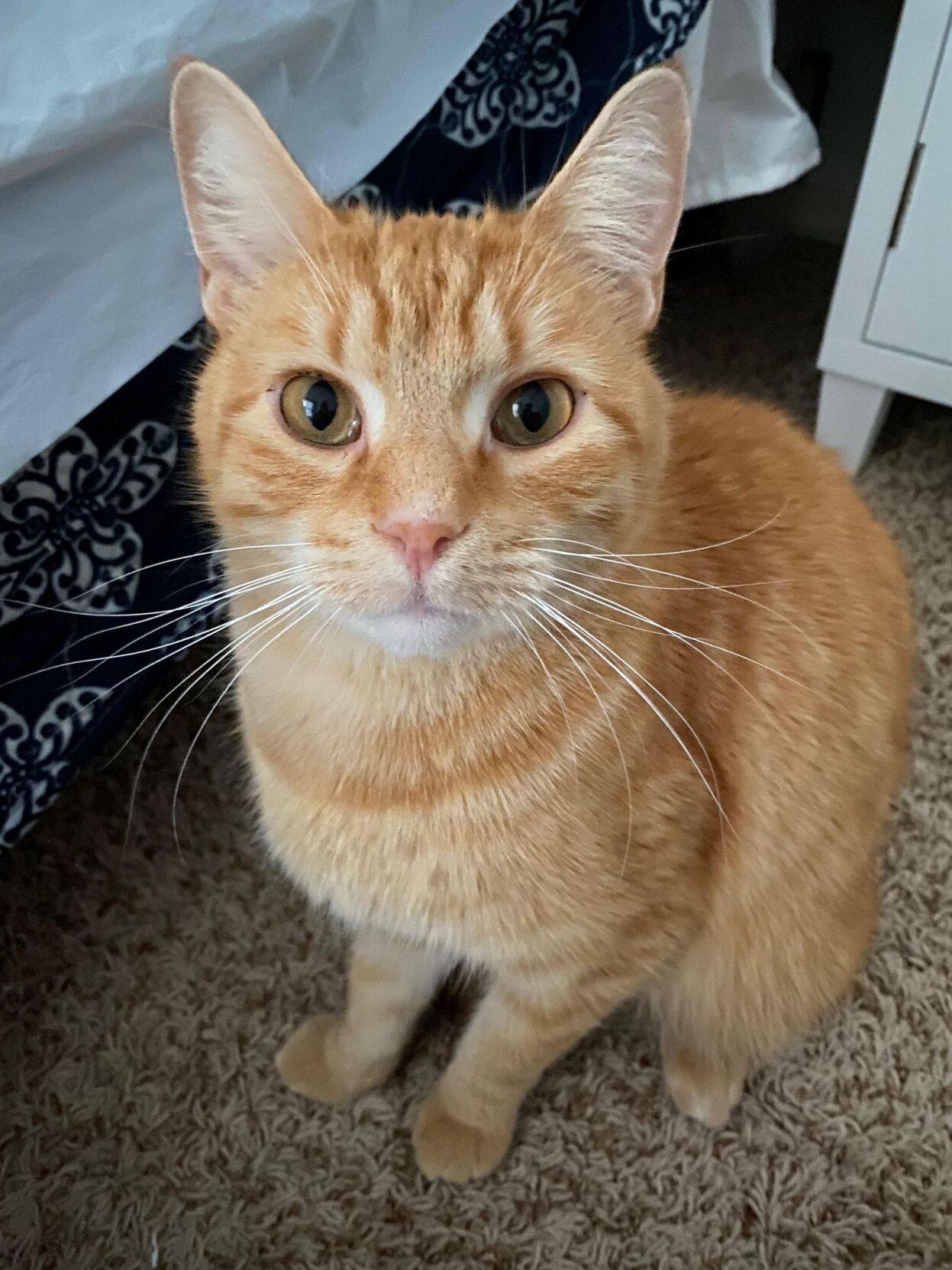 Charlie